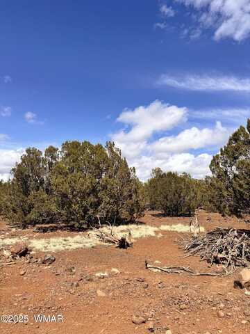 Tbd Hawk Road, Show Low, AZ 85901