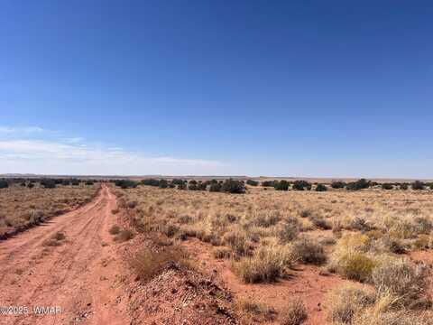 598b Hopi Lane, Snowflake, AZ 85937