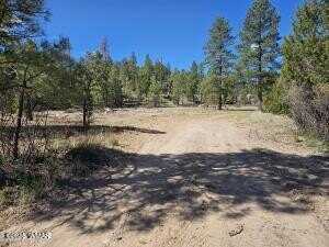 3326 Black Canyon Road, Heber, AZ 85928