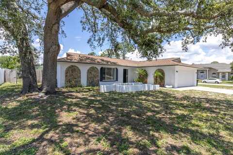1402 TALLAHASSEE DRIVE, TARPON SPRINGS, FL 34689