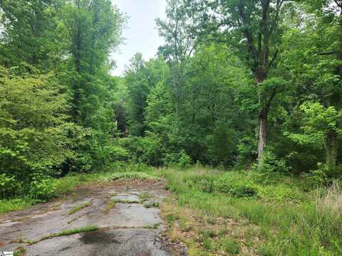 00 Tibbitts Lane, Waterloo, SC 29384