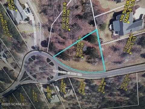 194 October Glory Drive, Wallace, NC 28466