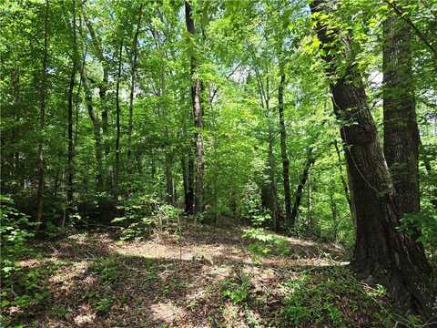Ross Drive, Starr, SC 29684