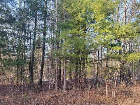 1090 Frank Street, Beaverton, MI 48612