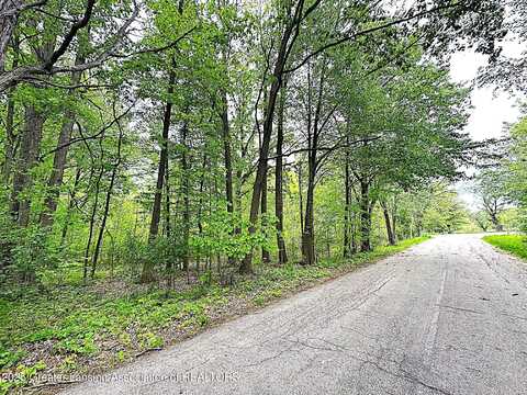 0 Wirt Road, Mason, MI 48854