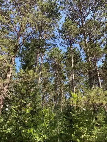 On CENTRAL AVE W, Brantwood, WI 54513