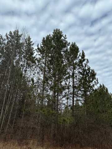 On CTH G, Rhinelander, WI 54457