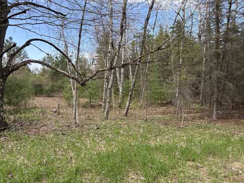 001 Adams Road, Copemish, MI 49625