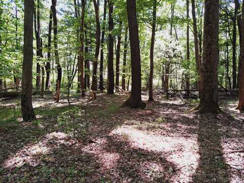 E Brandywine Drive, Gobles, MI 49055