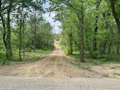 2 Acres Bair Lake Street, Jones, MI 49061