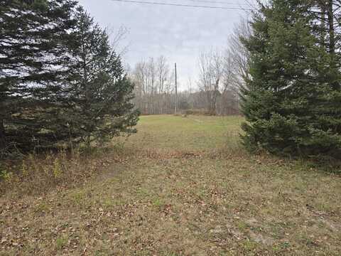 V/L N 48th Avenue, Mears, MI 49436