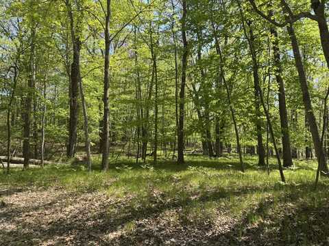 9236 Lost Canyon Court, Canadian Lakes, MI 49346