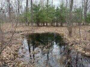 00# 4 Mile Road, Lake, MI 49679