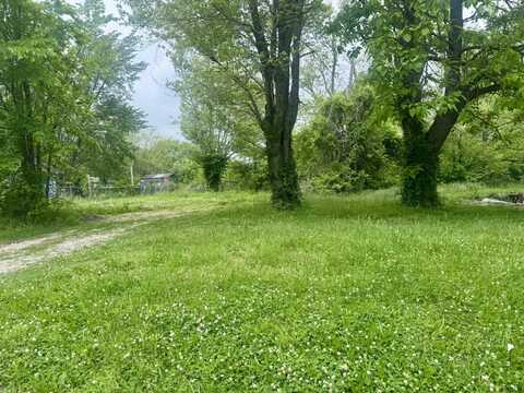 313 High Street, Mountain Grove, MO 65711