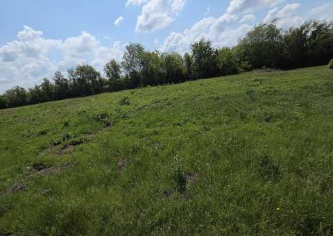970 N Autin Lane, Republic, MO 65738