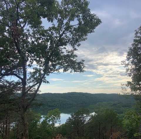 Lot 114 Cloverdale Road, Galena, MO 65656