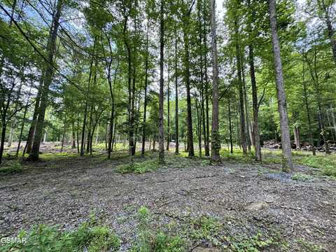 Lot 6 Fontaine Way, Gatlinburg, TN 37738