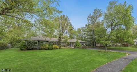 55 Springbrook Rd, Livingston, NJ 07039