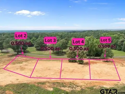 TBD County Road 322 Lot 4, Tyler, TX 75706