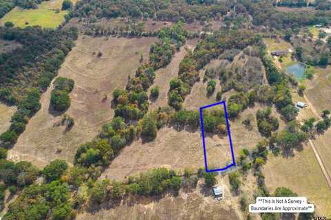 1.26 Acres TBD NE CR 2060, Mount Vernon, TX 75457
