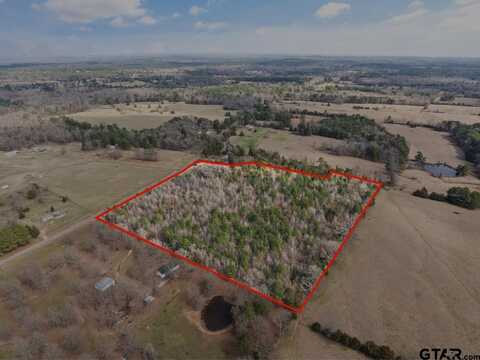 1654 FM 593, Gilmer, TX 75644