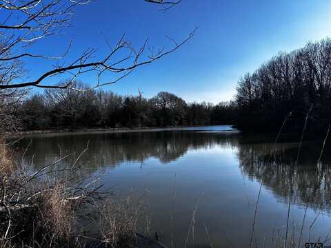 TRACT G/ 261 PRIVATE ROAD 8506, Van, TX 75790