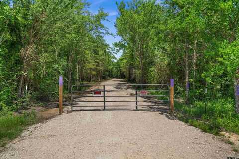 TRACT I/ 599 PRIVATE ROAD 8507, Van, TX 75790