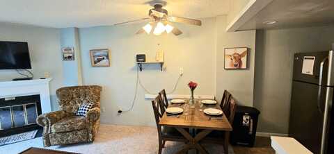 2307 Silver Creek, Snowshoe, WV 26209