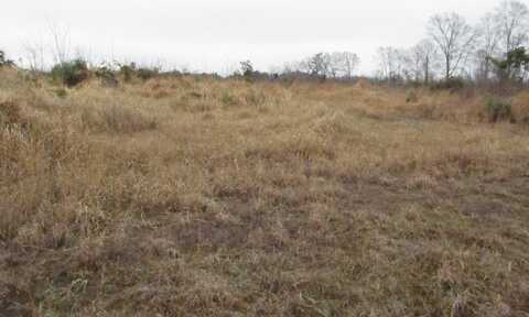 000 A J Bond, Sumrall, MS 39482