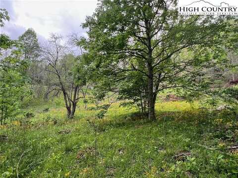 Tbd Old Hartley Road, Banner Elk, NC 28604