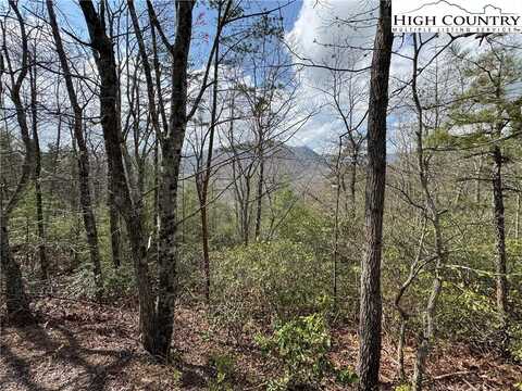 Tbd Cherokee Trail, Marion, NC 28752