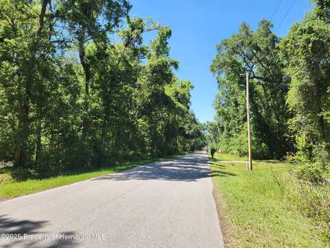 0 Royal Drive, Brooksville, FL 34601
