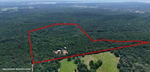 16650 CR 3419, Brownsboro, TX 75756