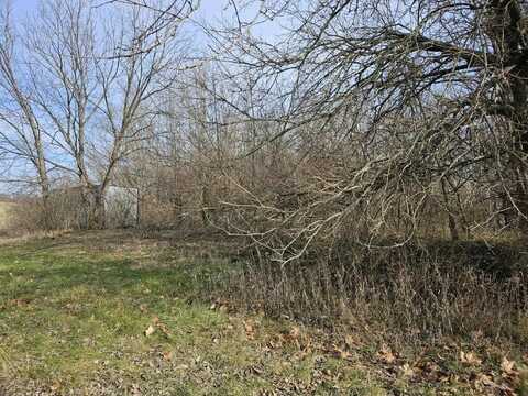 221 N Oak Street, Ottawa, KS 66067