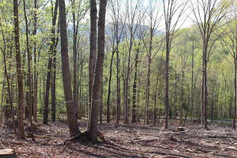 TBD CLAN ALPINE WAY, GLASGOW, VA 24555