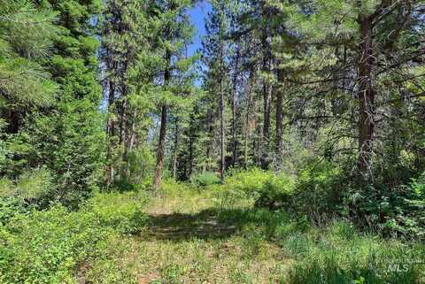 30 & Tbd Syringa, Garden Valley, ID 83622