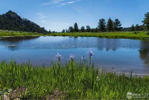 Shoshana Ranch Rd, Livermore, CO 80536