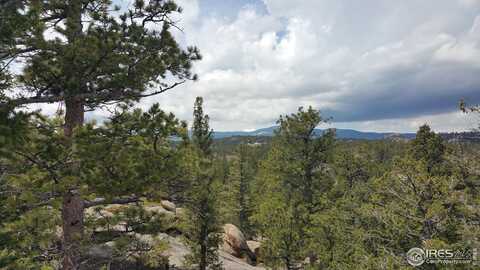2928 Fox Acres Dr E, Red Feather Lakes, CO 80545
