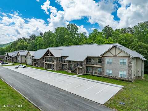 229 Bishops Cap Circle, Townsend, TN 37882