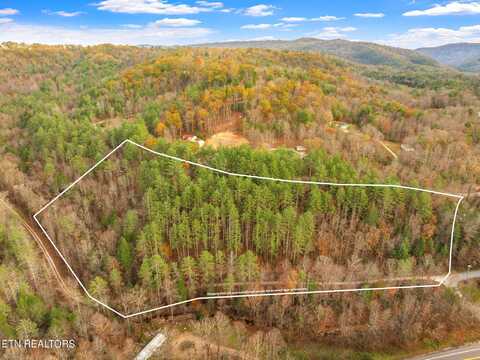 167 Balfour Drive, Harriman, TN 37748