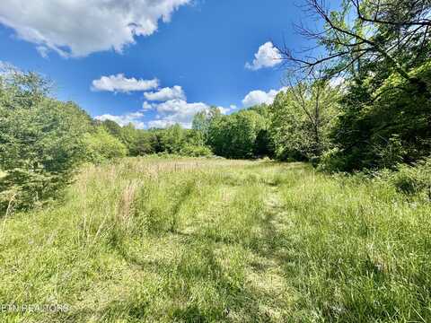 E Bullrun Valley Drive, Heiskell, TN 37754