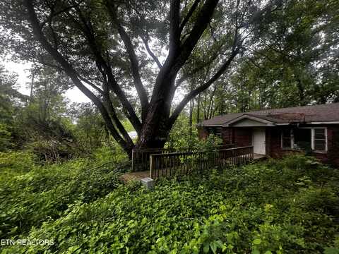 209 Stephens Lane, Jamestown, TN 38556
