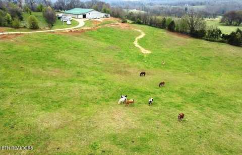 21876 E Coast Tellico Pkwy, Greenback, TN 37742