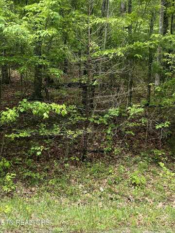 612 Catawba Lane, Crossville, TN 38572