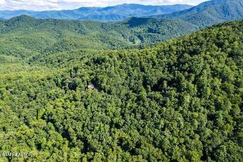 120 Greystone Way, Townsend, TN 37882
