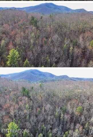 E Balls Hollow Rd, Cosby, TN 37722