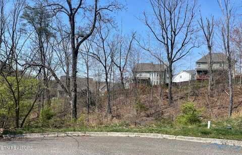 7713 Tulip Poplar Lane, Knoxville, TN 37931