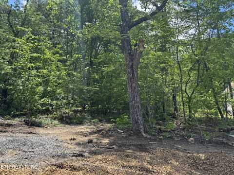 388 St George Drive, Fairfield Glade, TN 38558