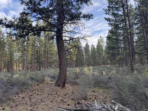Silver Fox Lane, Sprague River, OR 97639