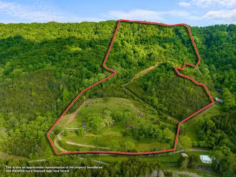 1250 Clinch Mountain Road, Eidson, TN 37731